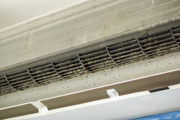 Best Best Air Duct Cleaning Near Me  in Redgranite, WI